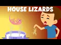 What if a lizard falls in your food Lizard is Poisonous House Lizards or House Geckos