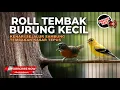 Download Lagu 🔴 Roll Tembak Burung Kecil Kenari Cililin Sejalur Mix Tembakan Kasar Tepus Kepala Abu Gacor Download Lagu 🔴 Roll Tembak Burung Kecil Kenari Cililin Sejalur Mix Tembakan Kasar Tepus Kepala Abu Gacor