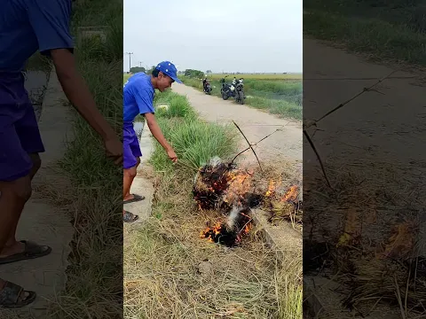 TIDAKKK‼️ORANG-ORANGAN SAWAH DONGO DI BAKAR‼️