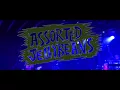 Assorted Jelly Beans [LIVE] On Time @ Romano's Concert Lounge, 4k Anamorphic