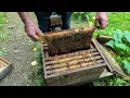 Download Lagu Preparing bee hives for winter