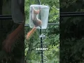 Squirrels Outsmart a Clever Trap garrygates58