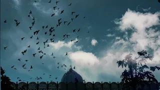 ranjheya ve zain zohaib lyrics faqir muhammad gulzar sabri 