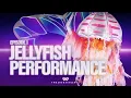 Download Lagu Jellyfish Performs \