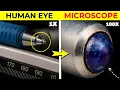 Hidden Things Only Seen Under a Microscope
