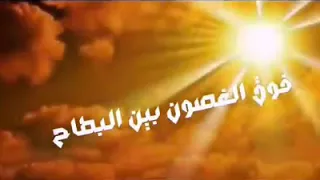 نشيد لاح الصباح 
