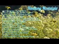 Download Lagu Tembang Nostalgia (Bukit Berbunga,Di Puncak Bukit Hijau dll)