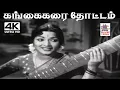Download Lagu Gangai Karai Thottam  K.V.மஹாதேவன் இசையில் P.சுசிலா பாடிய பாடல் கங்கைக்கரை தோட்டம்