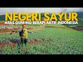 Lagu Negeri Sayur atas Gunung Berapi Aktif Di Indonesia! Sumpah cantik! | EP3 Indonesia