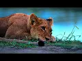 Heaven on Earth in 4K HDR | Unreal Nature in Dolby Vision (60FPS)