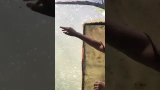 HANDS Hand Water Shorts 