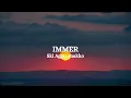 Ski Aggu, makko - IMMER (Lyrics)