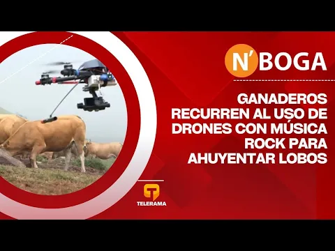 Ganaderos recurren al uso de drones con música rock para ahuyentar lobos