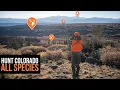 Colorado Application Strategy - All Species