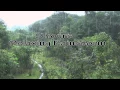 Download Lagu Heavy Rainfall +Thunder sounds(Sleep+Relax+Focus+Meditate)HD 1080p
