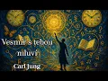 Download Lagu Tajný zákon vesmíru: Kdy začíná synchronicita měnit tvůj život – Carl Jung