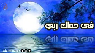 فى حماك ربى   ماهر زين   رضيت بالله ربا                                دندنها