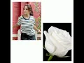 Download Lagu Trina saha complete rose ❤️❤️ New tiktok status # youtube shorts