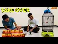 Download Lagu Take Over‼️Tips membeli sogon bahan‼️