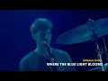 Download Lagu Origami Angel  - Where the Blue Light Blooms | Live YuYinTang Shanghai