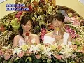 青い三角定規 ｢太陽がくれた季節｣ 2006年
