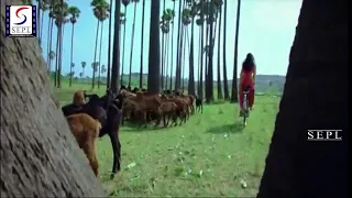virunthali video song amu timepass