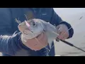 Vertical Jigging for Haddock Cape Cod bay Teasers and Jigs No Bait Salty Cape TV S2018 E2