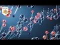 Geometry Nodes Organic Plexus Animation Blender Tutorial