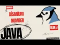 Disarium Numbers Explained for Beginners