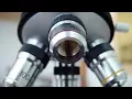 Online virtual microscope for Biology tutorial