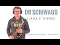 Download Lagu Dr Schiwago (Lara's Theme) | Alto Saxophone Cover - Leon Winkler