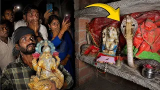 ये कारनामा कैमरे में कैद हो गया, नहीं तो यकीन नहीं होता!😱 Cobra Snake Rescue Operation in Village 