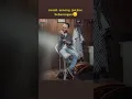 Download Lagu ZIDAN OFFICIAL