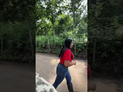 Ganándome los frijoles