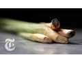 Preparing Lemon Grass - Cooking With Melissa Clark The New York Times