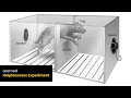 Download Lagu Learned Helplessness Experiment | Martin Seligman | Cognitive Dissonance Experiment | Online Docs