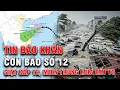 Lagu 🔴TRỰC TIẾP: BÃO SỐ 12 GIẬT CẤP 12, MIỀN TRUNG MƯA RẤT TO TỪ 22/10