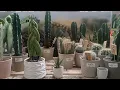 Home Depot End of Summer Search