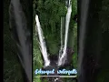 Download Lagu Sekumpul Waterfalls♥️