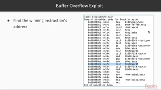 Binary Exploits with Python Redirecting Execution packtpub com