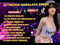 Download Lagu DJ TIKTOK REMIX TERBARU 2023 GUNUNG HIMALAYA VIRAL