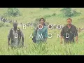 The Beauty Of Blood Diamond