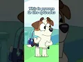 Is Jack Rusty s Best Friend