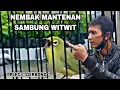 Download Lagu PLECI \