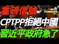 重磅信号！CPTPP拒绝中国加入！习近平政府急了！许成钢戳破真相！