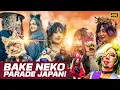 Download Lagu [4K] Kagurazaka Bake Neko Festival 2025 | Tokyo’s Cat Parade 🐈 #travelwithkanchan