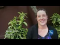 Creating a Safe Space for Students