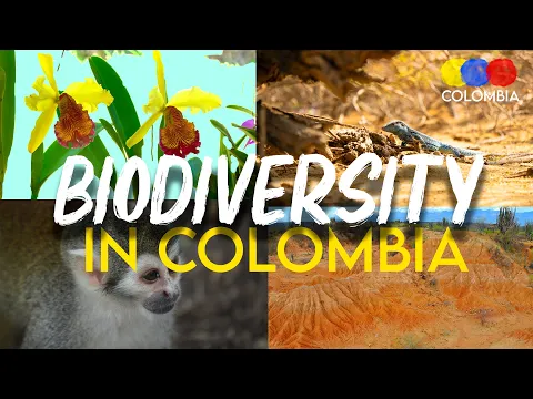 Biodiversity in Colombia | The Most Biodiverse Country