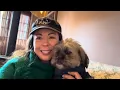 Big Bear Lake Cabin with My New Rescue Shih Tzu Mix | Snow, Ducks & Cozy Winter Solo Trip