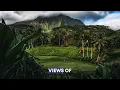 Oahu s Largest Fleet Of Golf Club Rentals